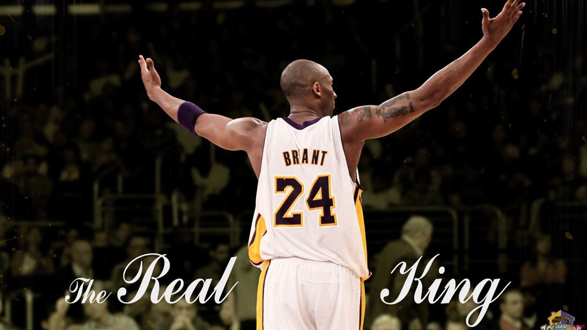 【训练项目】实用技巧提升母球控制能力，怎么让母球停在击球点